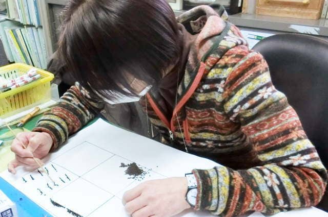 人による計数作業